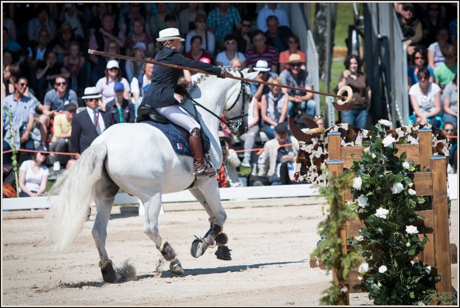 Pferd International 167